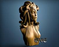 Medusa, 3D STL Model 11551