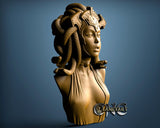 Medusa, 3D STL Model 11551