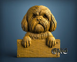Shih Tzu Dog, 3D STL Model 11710