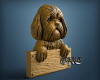 Shih Tzu Dog, 3D STL Model 11710