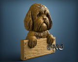 Shih Tzu Dog, 3D STL Model 11710