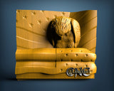 USA Eagle, 3D STL Model 15149