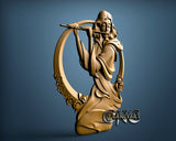 Fistula, 3D STL Model 15288